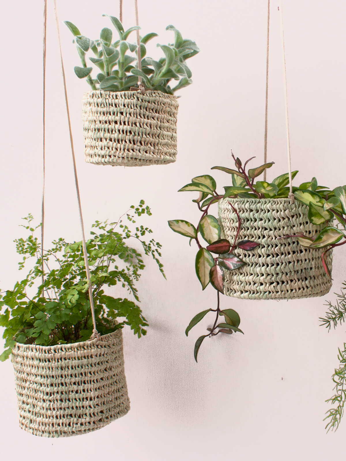 Open Weave Hanging Baskets - Bohemia Design